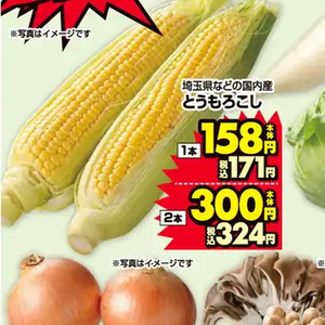 とうもろこし