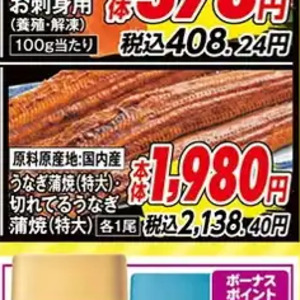 うなぎの蒲焼き