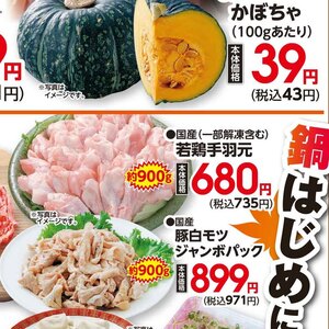 鶏手羽元