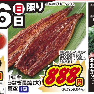 うなぎの蒲焼き