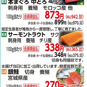サーモン（さく取り）
