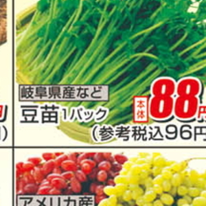 豆苗