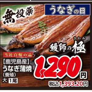 うなぎの蒲焼き