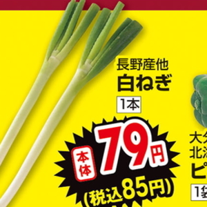 ながねぎ
