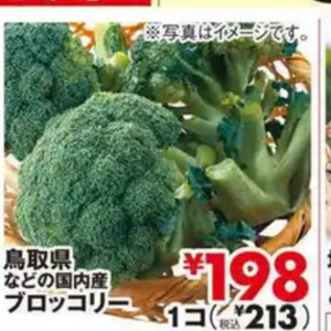 ブロッコリー