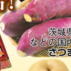 かぼちゃ