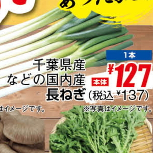 ながねぎ