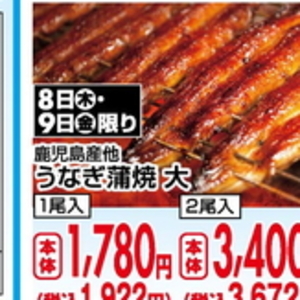 うなぎの蒲焼き