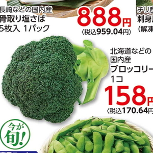 ブロッコリー