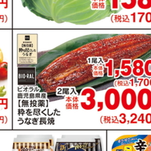 うなぎの蒲焼き