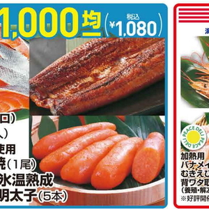 うなぎの蒲焼き