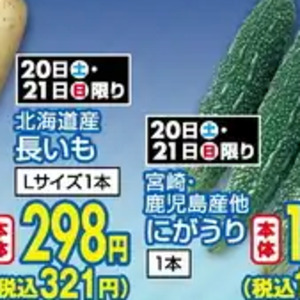 ながいも