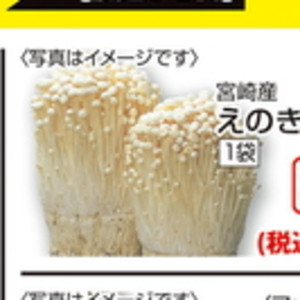 えのき茸