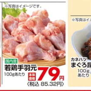 鶏手羽元
