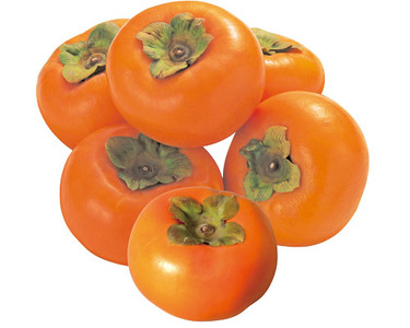 愛媛県産他 1コ