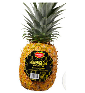 フィリピン産 1本