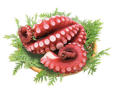 モーリタニア産 100ｇあたり