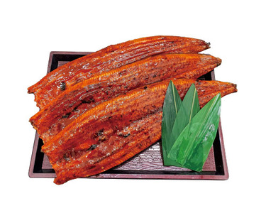 ロストラーダ種 2尾入・1パック