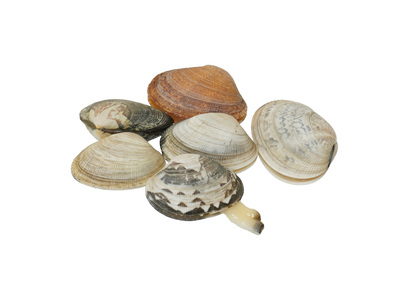 中国産 100gあたり