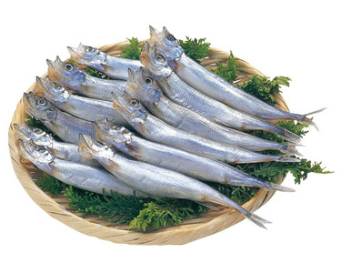 7尾入・1パック