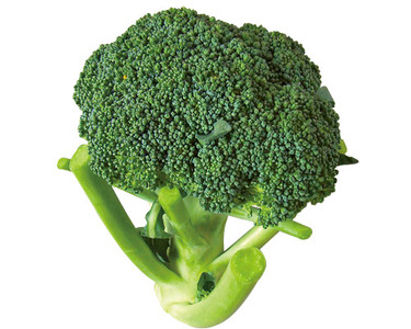 熊本県産他 1コ