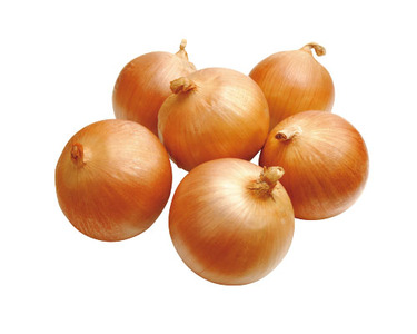 北海道産 2.5ｋｇ入・1ネット