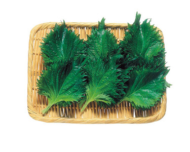 茨城県産他 1束