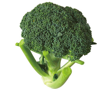 埼玉県産他 1コ