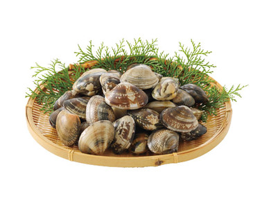 中国産 500ｇ入・1パック