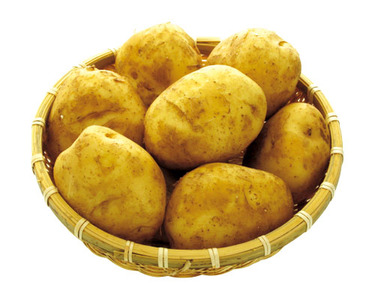 鹿児島県産他 100ｇあたり