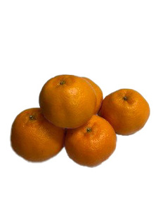 愛媛県産 6コ・1袋