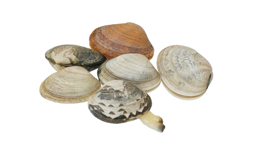 中国産 100gあたり