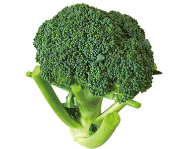 埼玉県産他 1コ