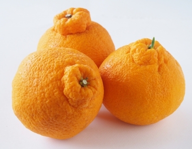 愛媛県産他国内産 2コ