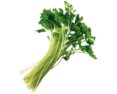 静岡県産他 1束